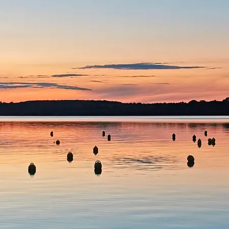 Gruene Oase Mit Eigener Terrasse Zwischen Altstadt Und Hafen #1 アパート