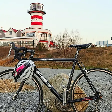 Gruene Oase Mit Eigener Terrasse Zwischen Altstadt Und Hafen #1 アパート *