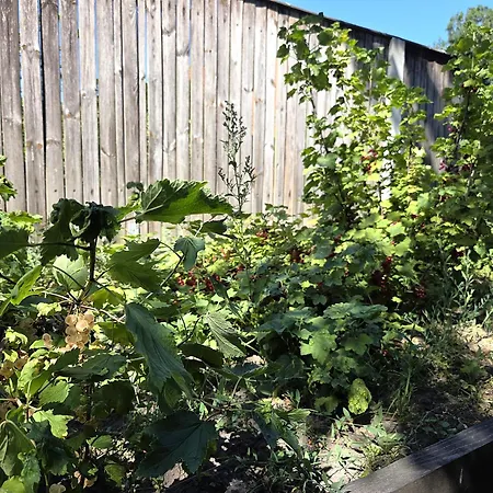 Gruene Oase Mit Eigener Terrasse Zwischen Altstadt Und Hafen #1 Зенфтенберг