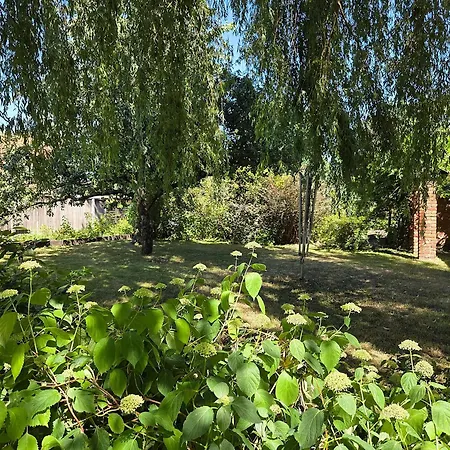 Gruene Oase Mit Eigener Terrasse Zwischen Altstadt Und Hafen #1 * Зенфтенберг
