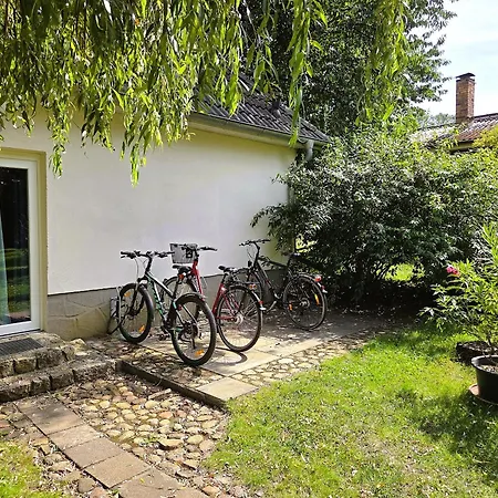 Gruene Oase Mit Eigener Terrasse Zwischen Altstadt Und Hafen #1 Апартаменты