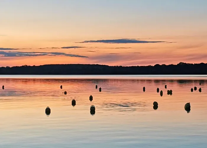 Gruene Oase Mit Eigener Terrasse Zwischen Altstadt Und Hafen #1 Апартаменты