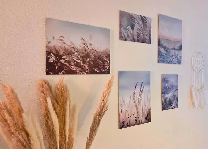 Gruene Oase Mit Eigener Terrasse Zwischen Altstadt Und Hafen #1 ゼンフテンベルク